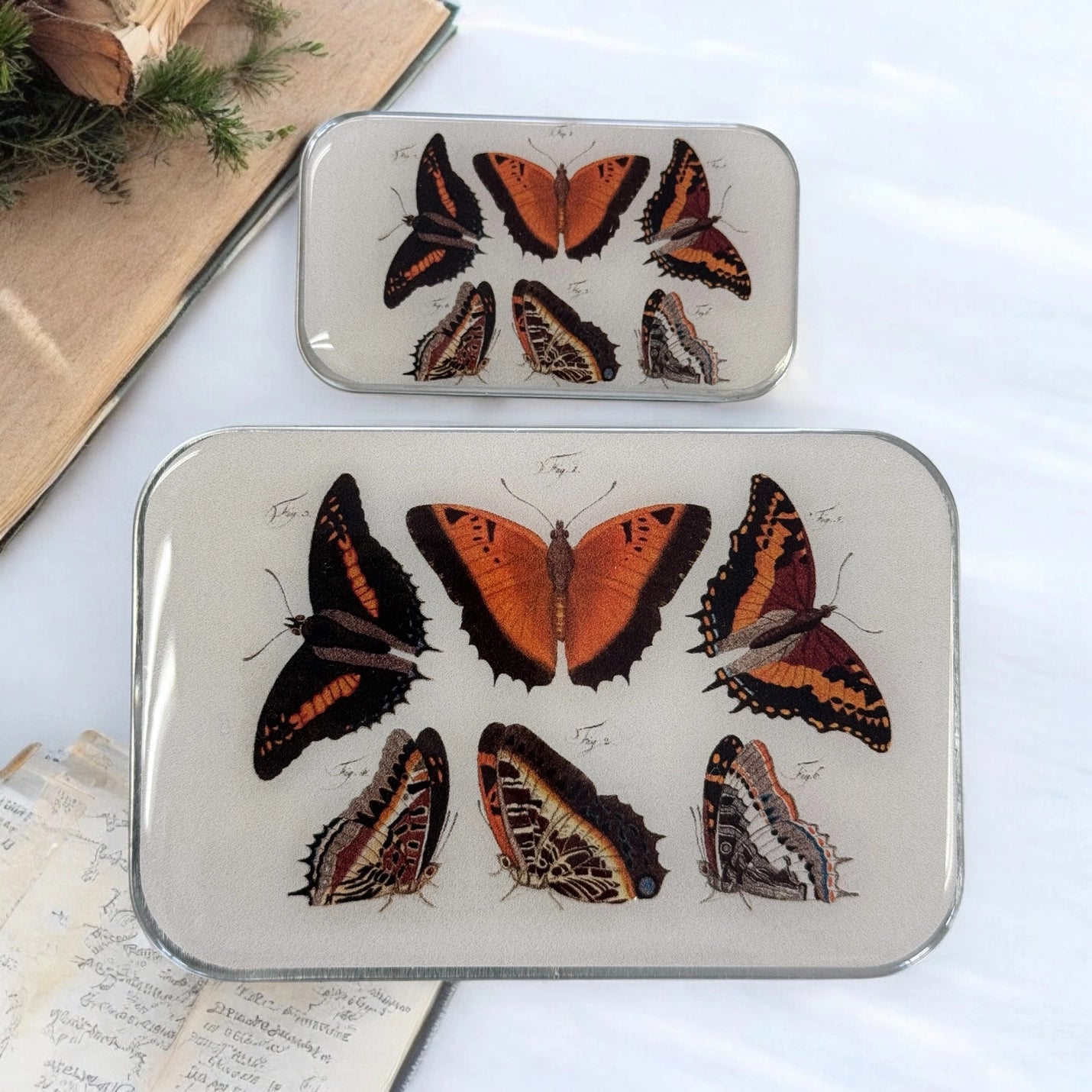 Firefly Notes Large Tins