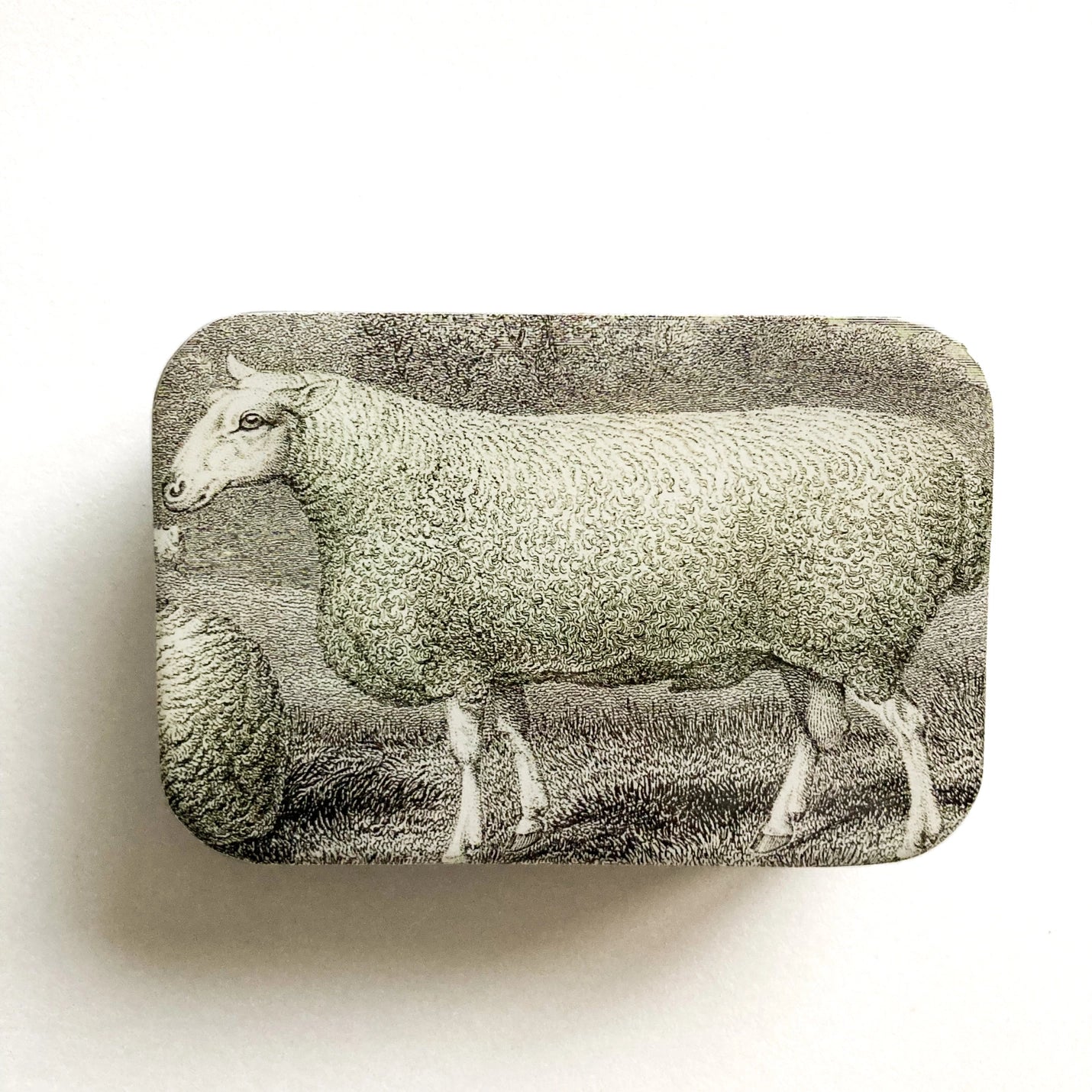 Firefly Notes Sheep Knitting Kit and Notion Tin