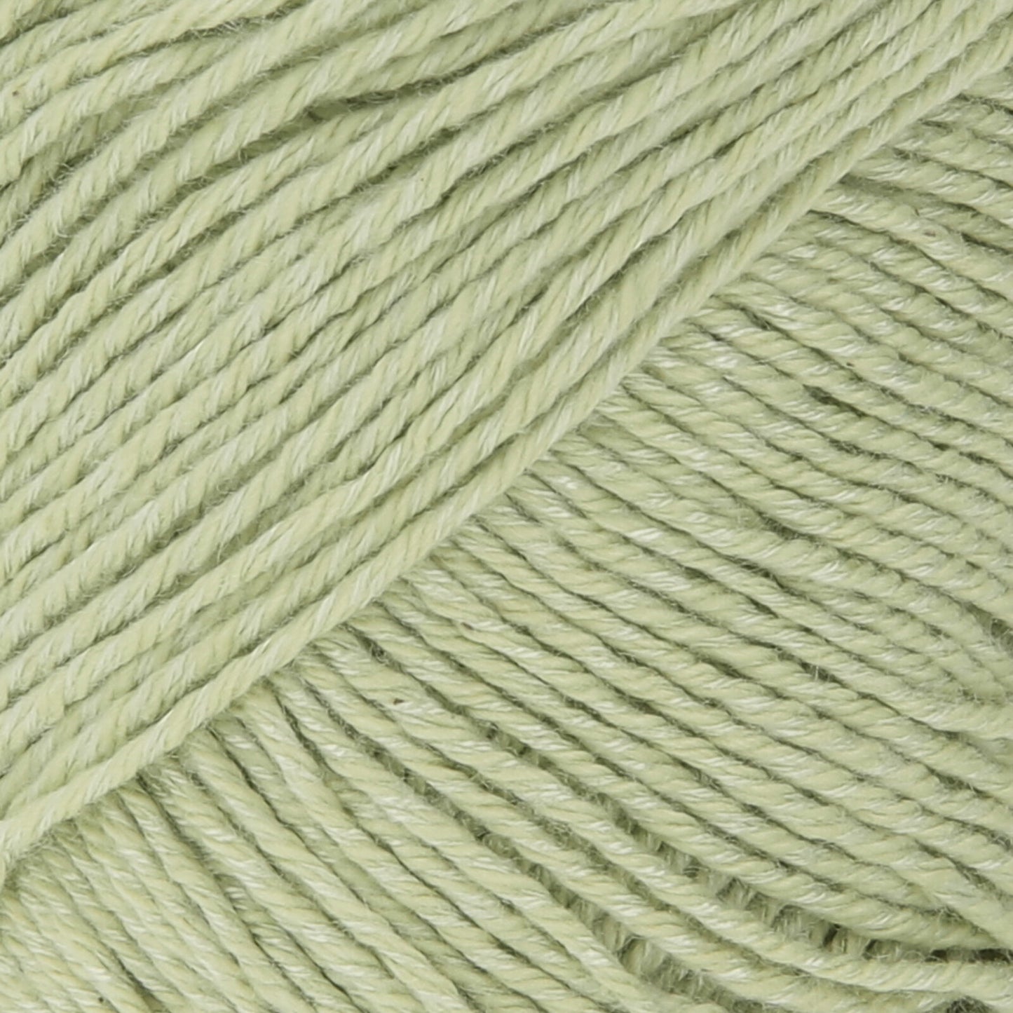 Wooladdicts Sweet