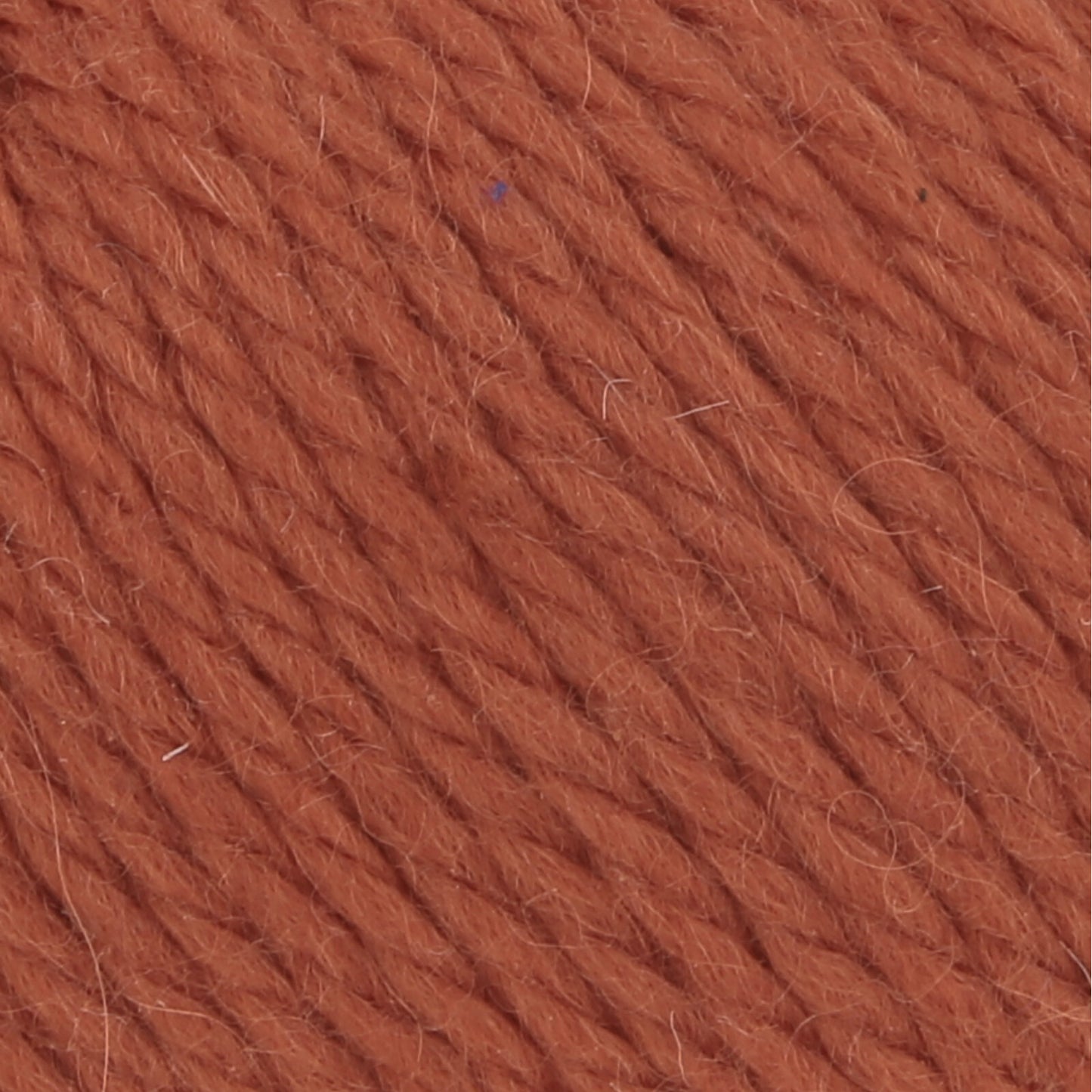 Lang Yarns Carpe Diem