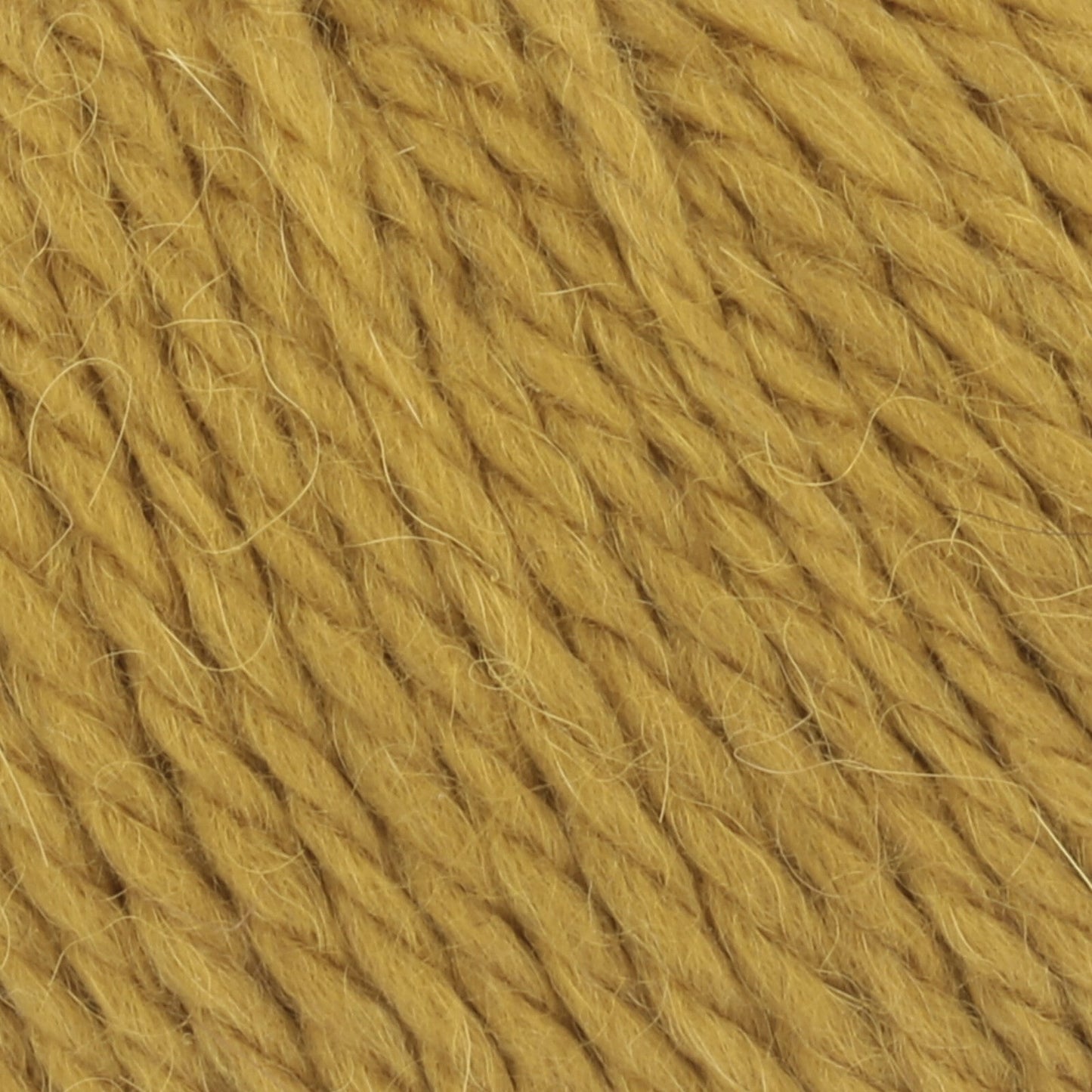 Lang Yarns Carpe Diem