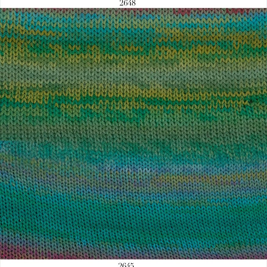 Schoppel Wolle Wool Sisters