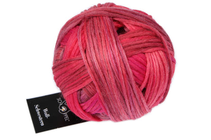 Schoppel Wolle Wool Sisters