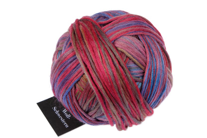 Schoppel Wolle Wool Sisters