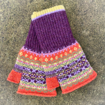 Eribé Alloa Open Mitt