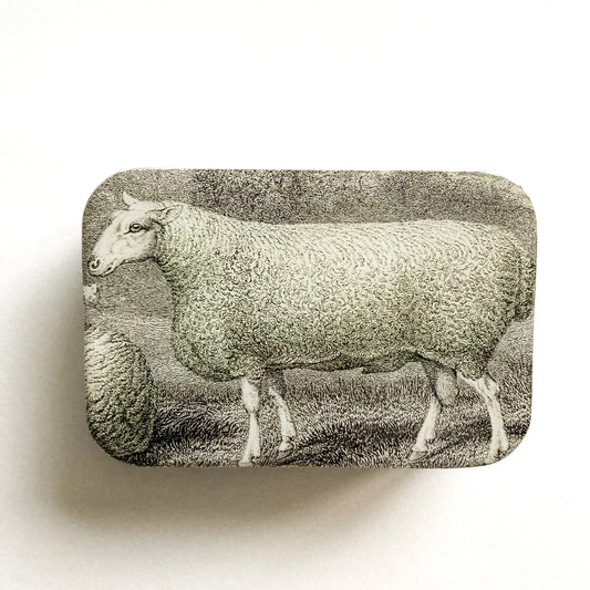 Firefly Notes Sheep Knitting Kit and Notion Tin